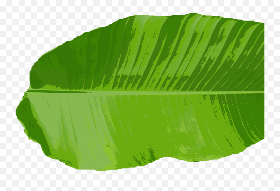 Download Hd Jpg Royalty Free Thai Cuisine Clip Art Leaves - Clip Art Of Banana Leaf Png,Palm Tree Leaves Png