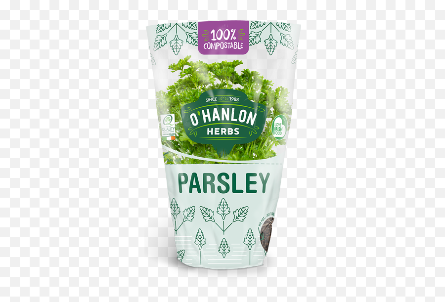 Parsley Herb - Coriander Png,Parsley Png
