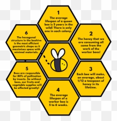 Home Depot White Hexagon Tile With Gold - Diagram Png,White Hexagon Png