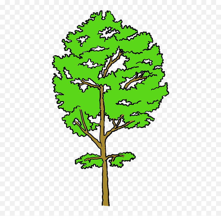 Aspen Tree Clipart - Cottonwood Png,Aspen Tree Png
