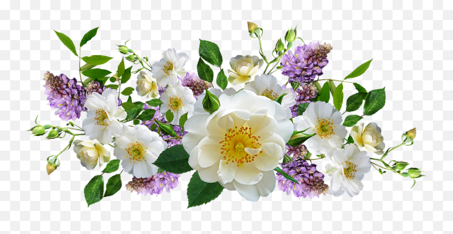 Roses Wisteria Flowers Png