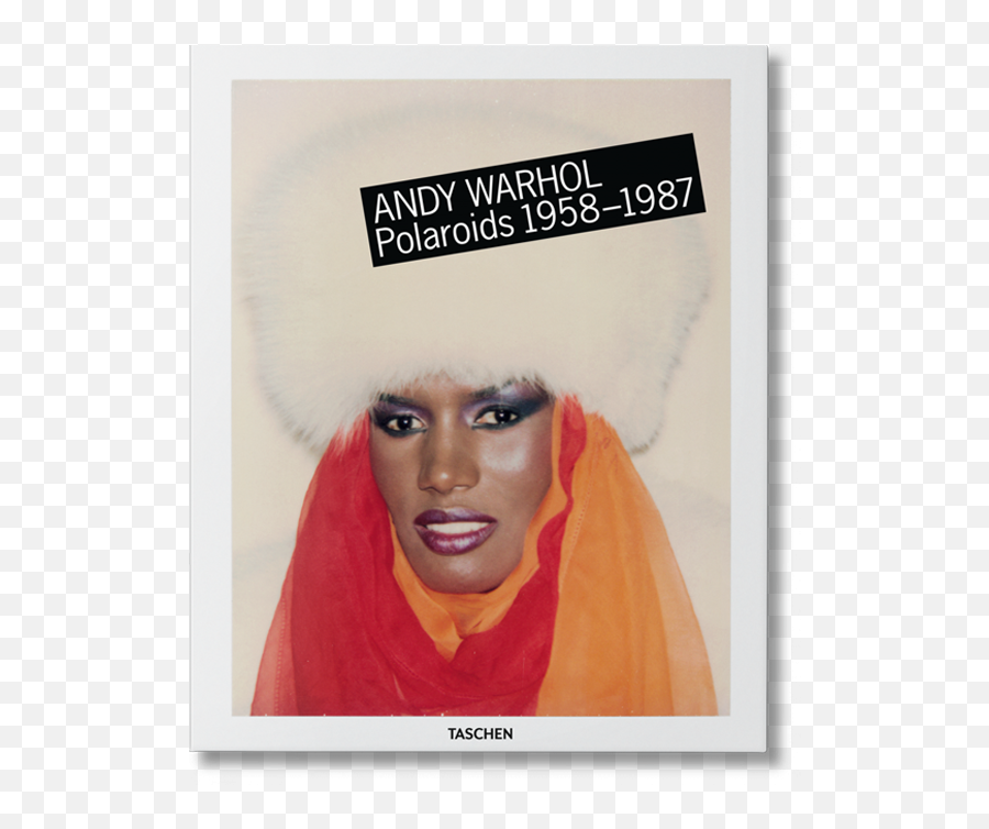 Andy Warhol Polaroids Book - Andy Warhol Polaroids Png,Debbie Harry Fashion Icon