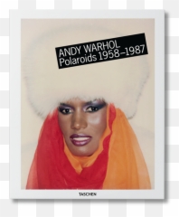 Andy Warhol Polaroids Book - Andy Warhol Polaroids Png,Debbie Harry Fashion Icon