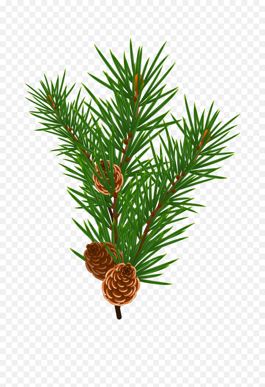 Free Icons Png Design Of Pine Branch - Sweet Smell Of Christmas Printables,Pine Branch Png