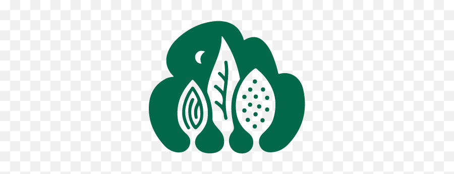 Mssbg - Almond Tree Logo Png,Botanical Garden Icon