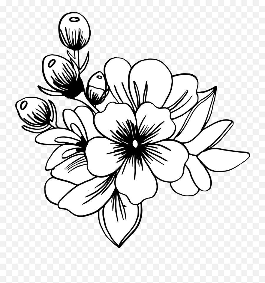 Free Png Hand Drawn Floral Bouquets Drawing