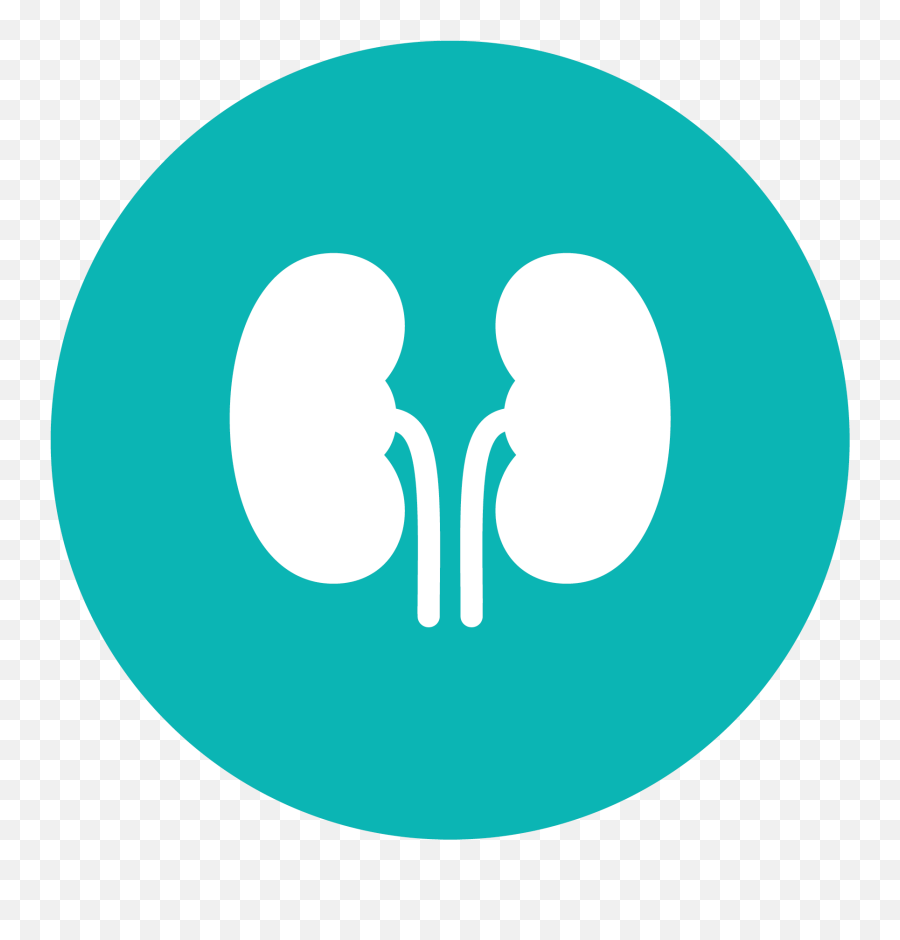 Kidney Png Clinical Trials Manchester Icon