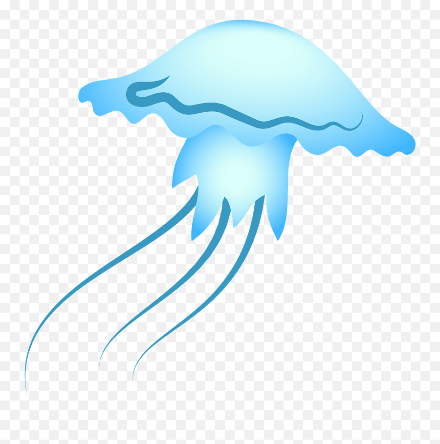 Jellyfishseabluesealifeocean - Free Image From Needpixcom Ristorante Pizzeria Braceria Mi Carrò Png,Transparent Jellyfish