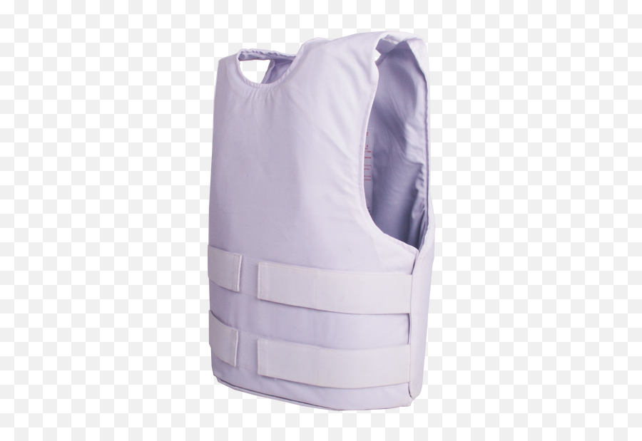 Ballistic Gear - Purple Ballistic Vest Png,Icon Field Armor Vest Size Chart