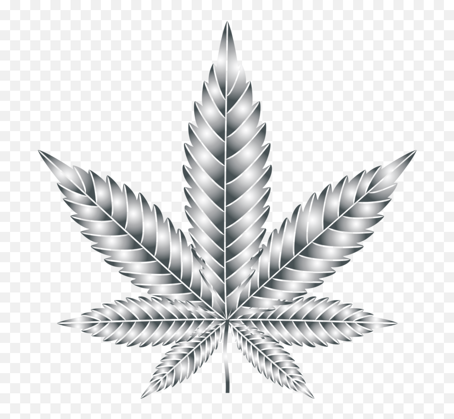 Leaf Cannabis Symmetry Silhouette Multiculturalism - Weed Transparent Background Cannabis Clipart Png,Weed Transparent Background