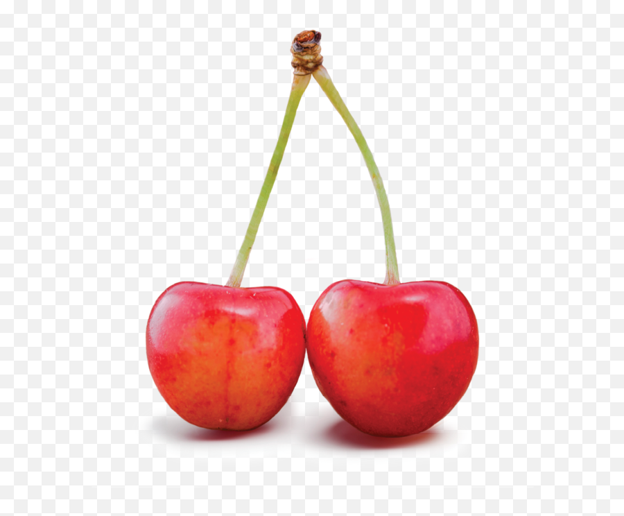 Fruits Transparent Cherry Picture 1088026 - Color Red Fruits Png,Cherries Png