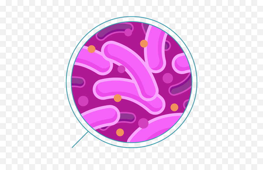 Hd Bacteria Transparent Background - Transparent Background Bacteria Png,Bacteria Transparent Background