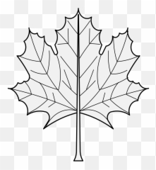 Download Details Png - Maple Leaf PNG Image with No