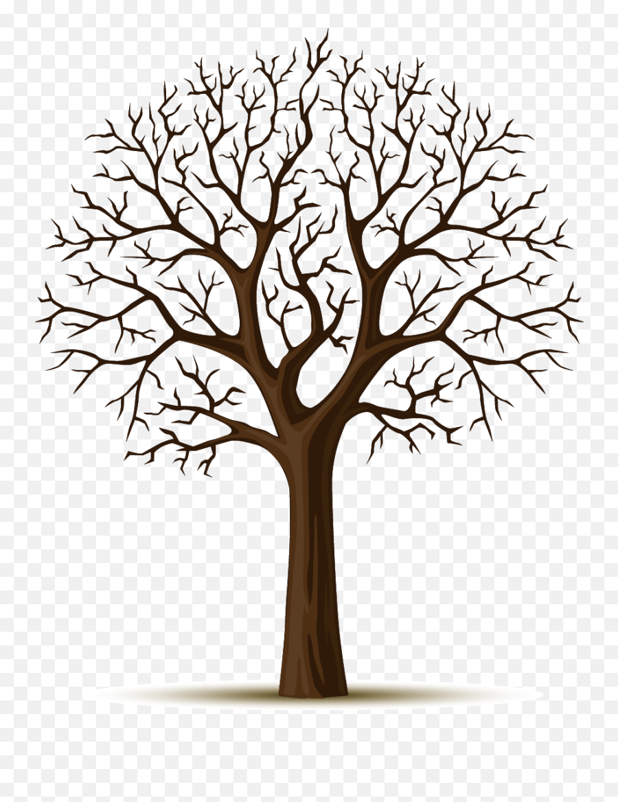 Wall Decal Tree Sticker - Apple Tree Png Download 8741087 Nar Aac Çizimi,Apple Tree Png