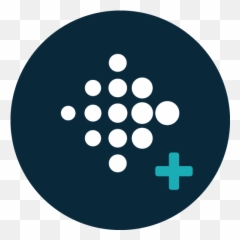 Fitbit - Iphone Dashboard png