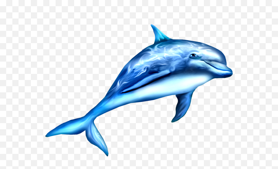 Transparent Png - Dauphin Png,Dolphin Png