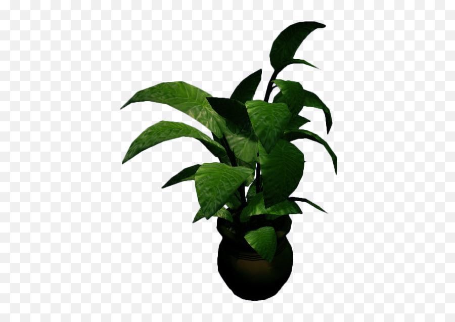 Download Hd Dead Rising Large Potted Plant - Big Plant Pot Green Plants In Pot Png,Green Plant Png