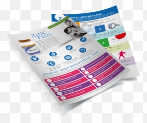 Flyers Zinc Plus - Flyer Png,Flyers Png