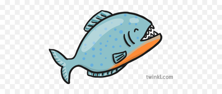Piranha Illustration - Piranha Illustration Png,Piranha Png
