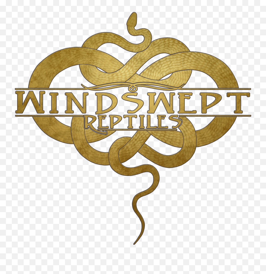 Windswept Reptiles Logo Alison Parks - Tierarzt Png,Artstation Logo