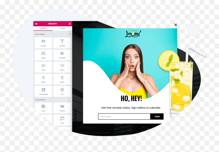 Which Wordpress - Page Builder Elementor Pro Png,Divi Theme Instagram Icon