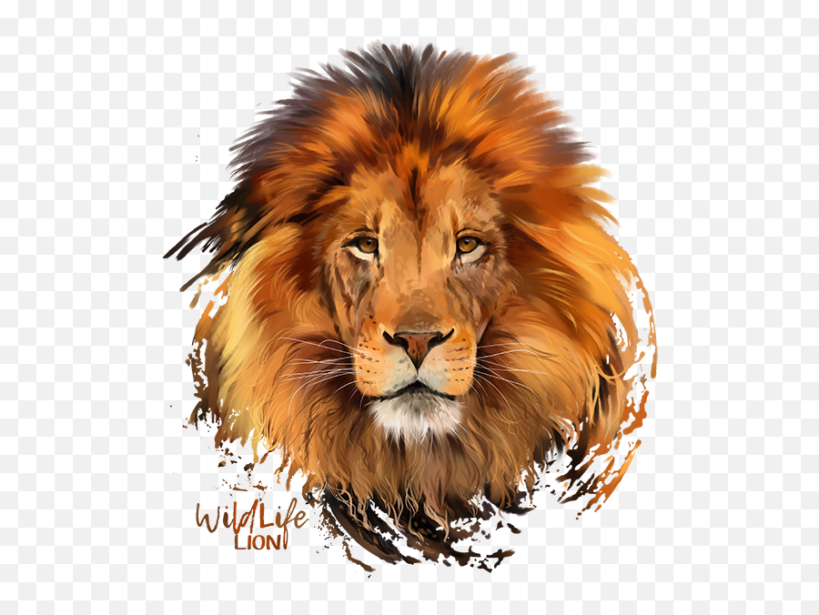 Lion Png Image Picture - Lion Face Images Png,Lion Head Transparent