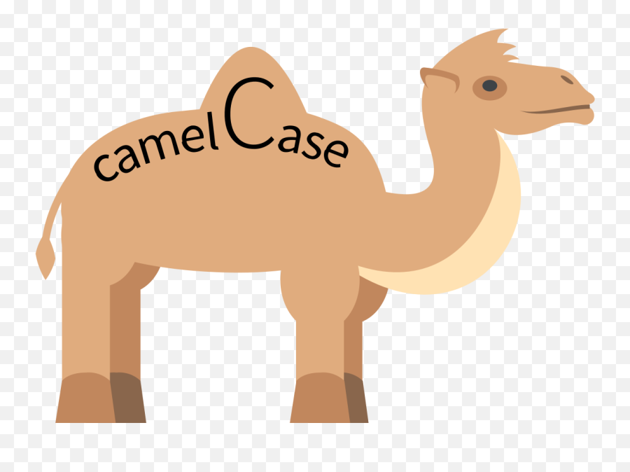 Camel Case - Wikipedia Camel Case Png,Ddda Headless Icon