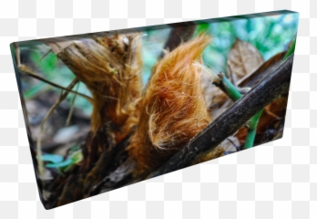 World Travelogue U2014 Thenostomaniaccom Png