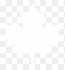 Leaf Png And Vectors For Free Download - Maple