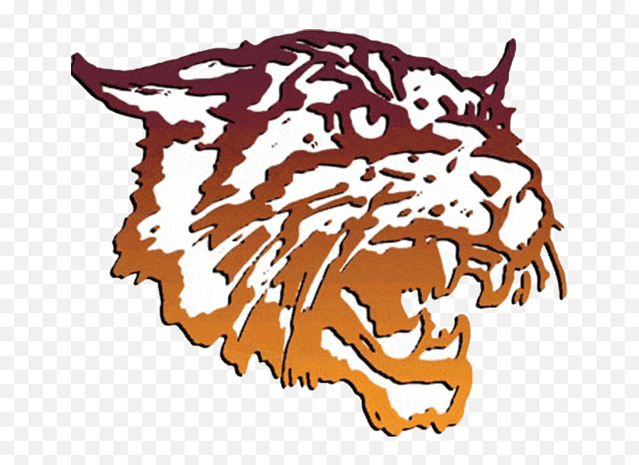 Bethune Cookman Wildcats - Clip Art Library Logo East Chapel Hill High School Png,Wildcat Icon