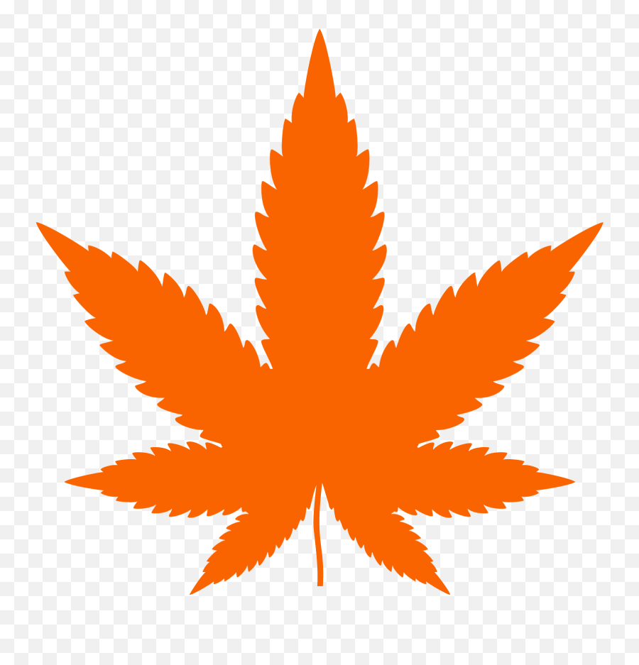 What I Need To Open A Dispensary In Minnesota - Super Marijuana Silhouette Png,Super Icon