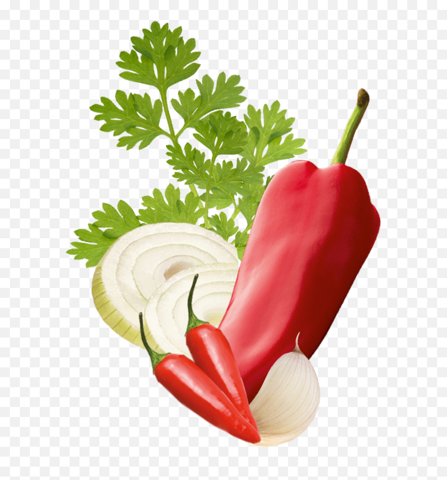 Chervil U2014 Spice Use Plant Kotányi - Spicy Png,Spicy Icon Png
