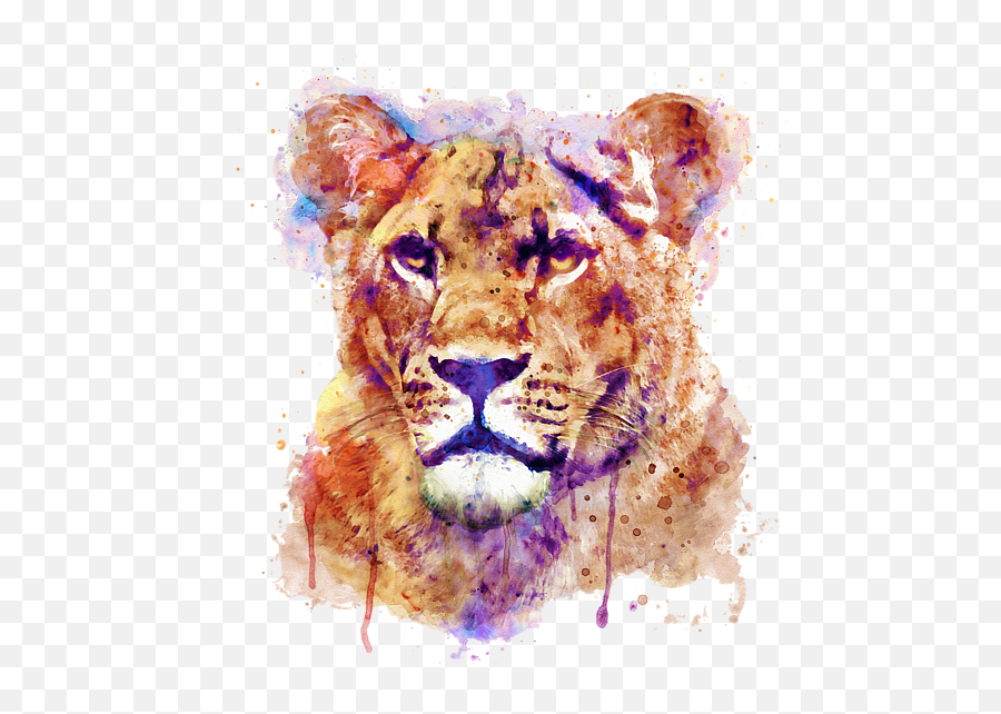 Lioness Head Puzzle - Half Lion Half Lioness Painting Png,Lioness Icon