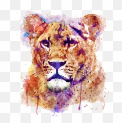 Lioness Head Puzzle - Half Painting png