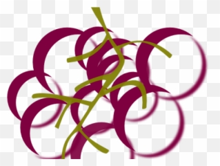 Grapes Clipart Vineyard Border - Wine Vines Art Png Graphic Design