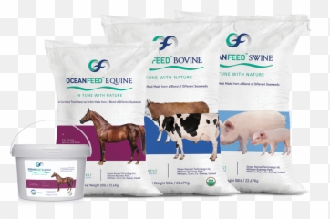Ocean Harvest Technology Png Seaweed