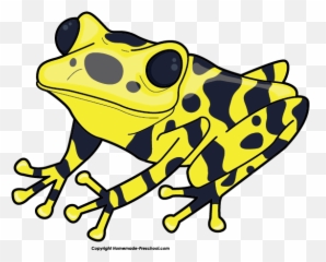 Frog Clipart 4 Free Images - Poison Dart Frog Clipart Png,Frog Clipart Png