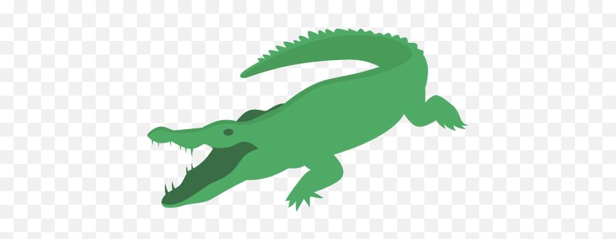 Transparent Alligator Happy Cartoon U0026 Png - Cocodrilo Dibujo Png,Alligator Png