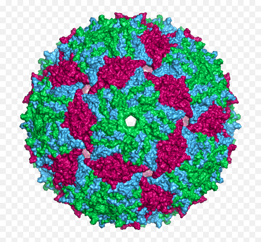 Filems2capsid Surfacepng - Wikimedia Commons Ms2 Virus,Sequins Png