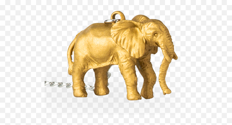Fun Infuser Gold Elephant - Indian Elephant Png,Elephant Transparent