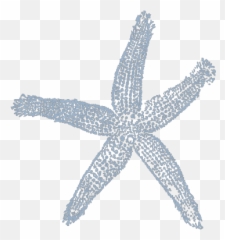 Maehr Blue Starfish Png Svg Clip Art For Web - Download Lovely,Starfish Png
