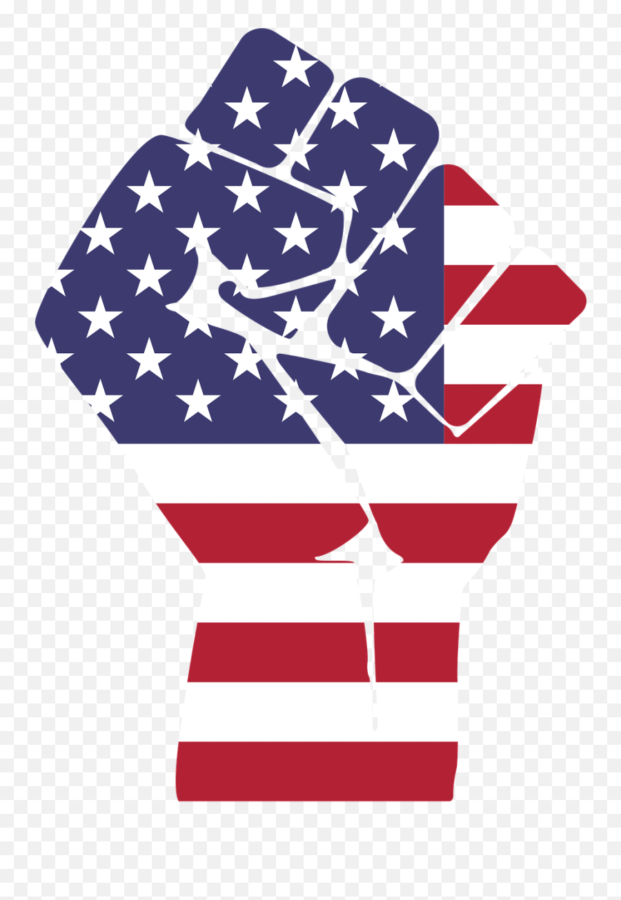 Quiz - American Flag Raised Fist Png,Politics Png