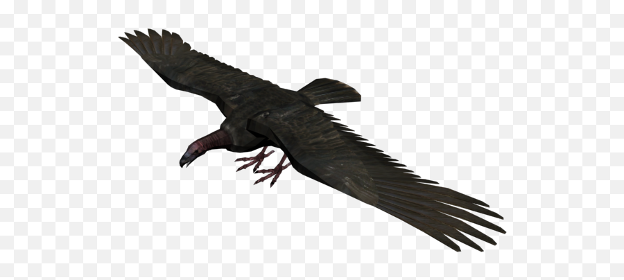 Vulture - Transparent Vultures Png,Vulture Transparent