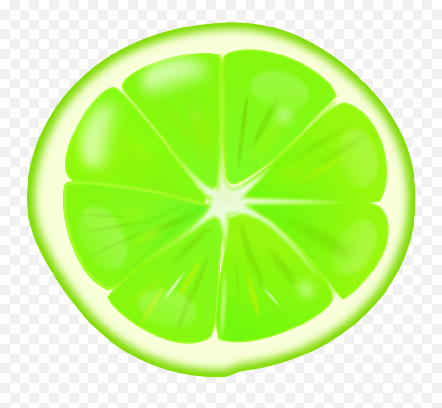 Plantleafcitrus Png Clipart - Royalty Free Svg Png Lime Slice Lime Clip Art,Lime Slice Png