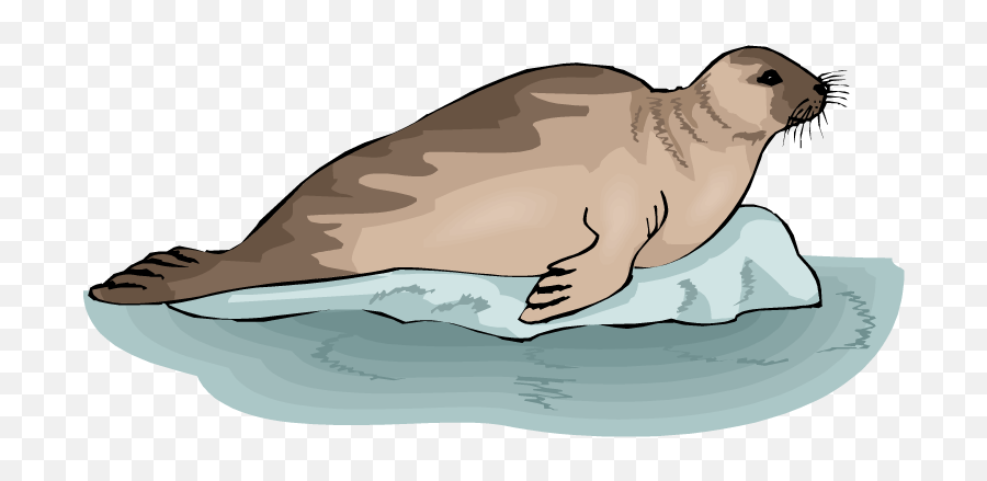 Leopard Seal Clipart Transparent - Leopard Seal Clipart Transparent Png,Rock Clipart Transparent