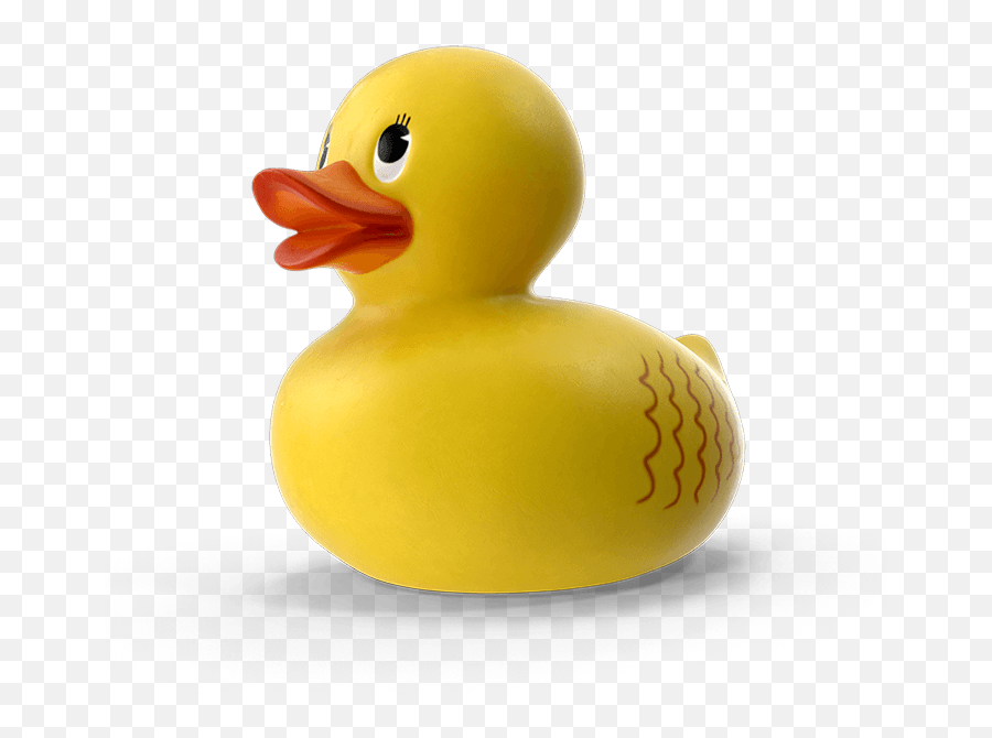 Non - Fungible Bubz Soft Png,Duck Discord Icon