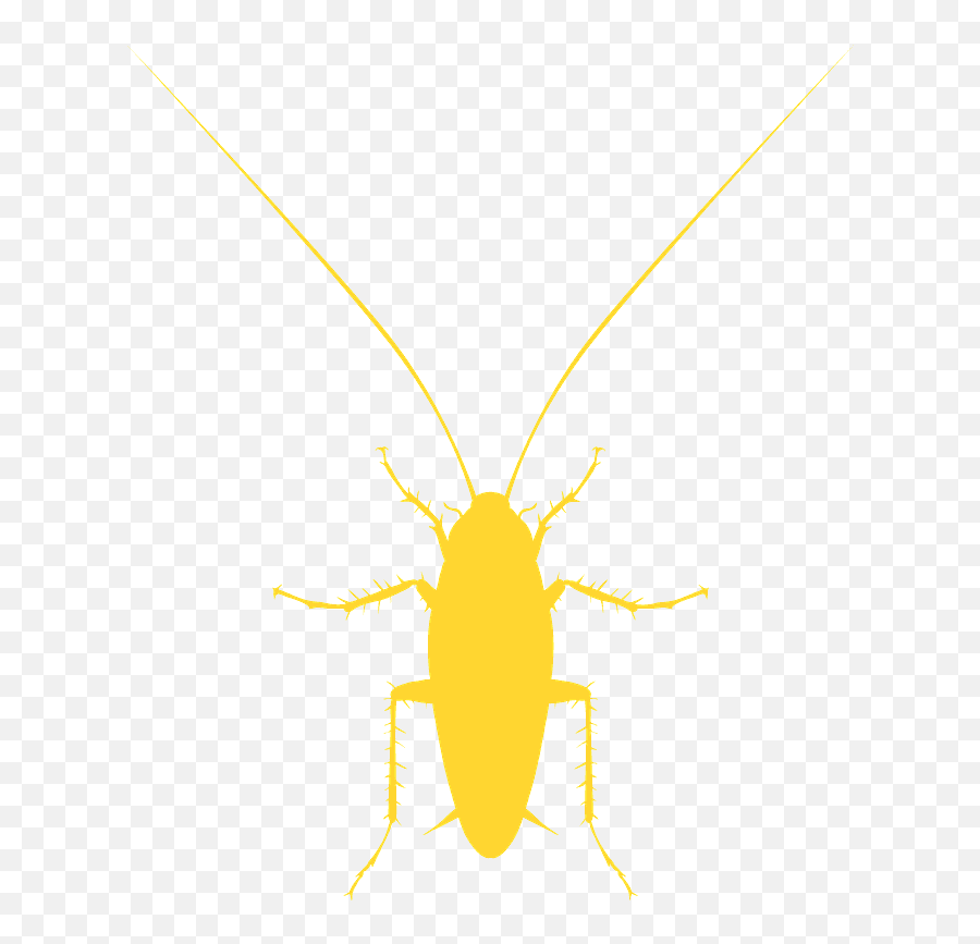Cockroach Silhouette - Free Vector Silhouettes Creazilla Parasitism Png,Cockroach Icon