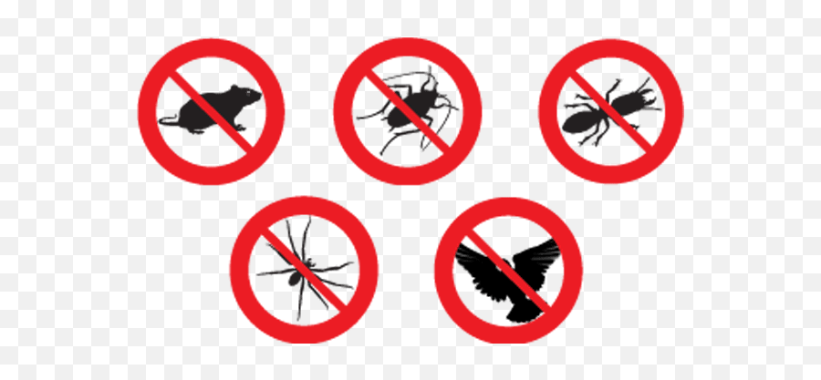 Restaurant Pest Control Management Innopest Malaysia - Pest Control Png,Pest Icon