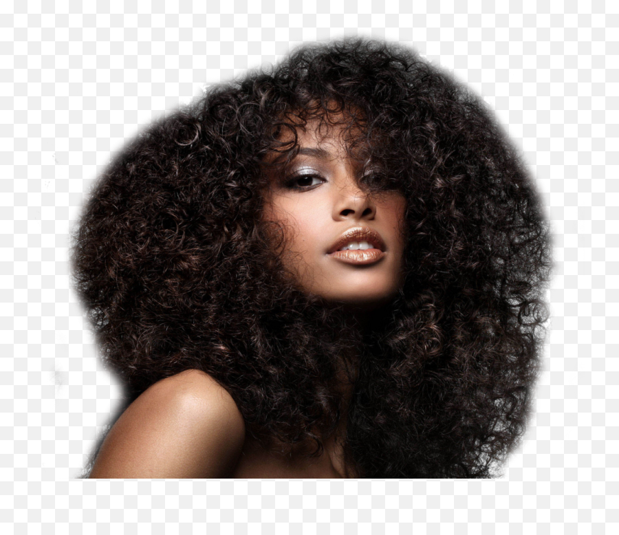 Ethnic Hair Transparent Png Image - Modelling Classes In Johannesburg,Curly Hair Png