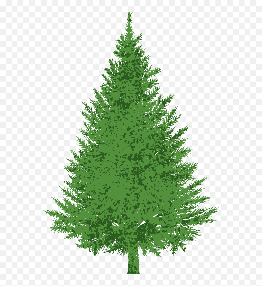 Library Of Royalty Free Evergreen Tree Png Files - Clipart Of Evergreen Tree,Evergreen Png